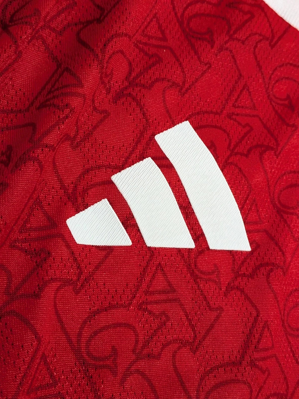 2025-26 Authentic Player Version Home Shirt - Gyokores 14 (BNWT)
