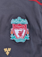 2010-12 Liverpool L/S Away Shirt - Torres 9