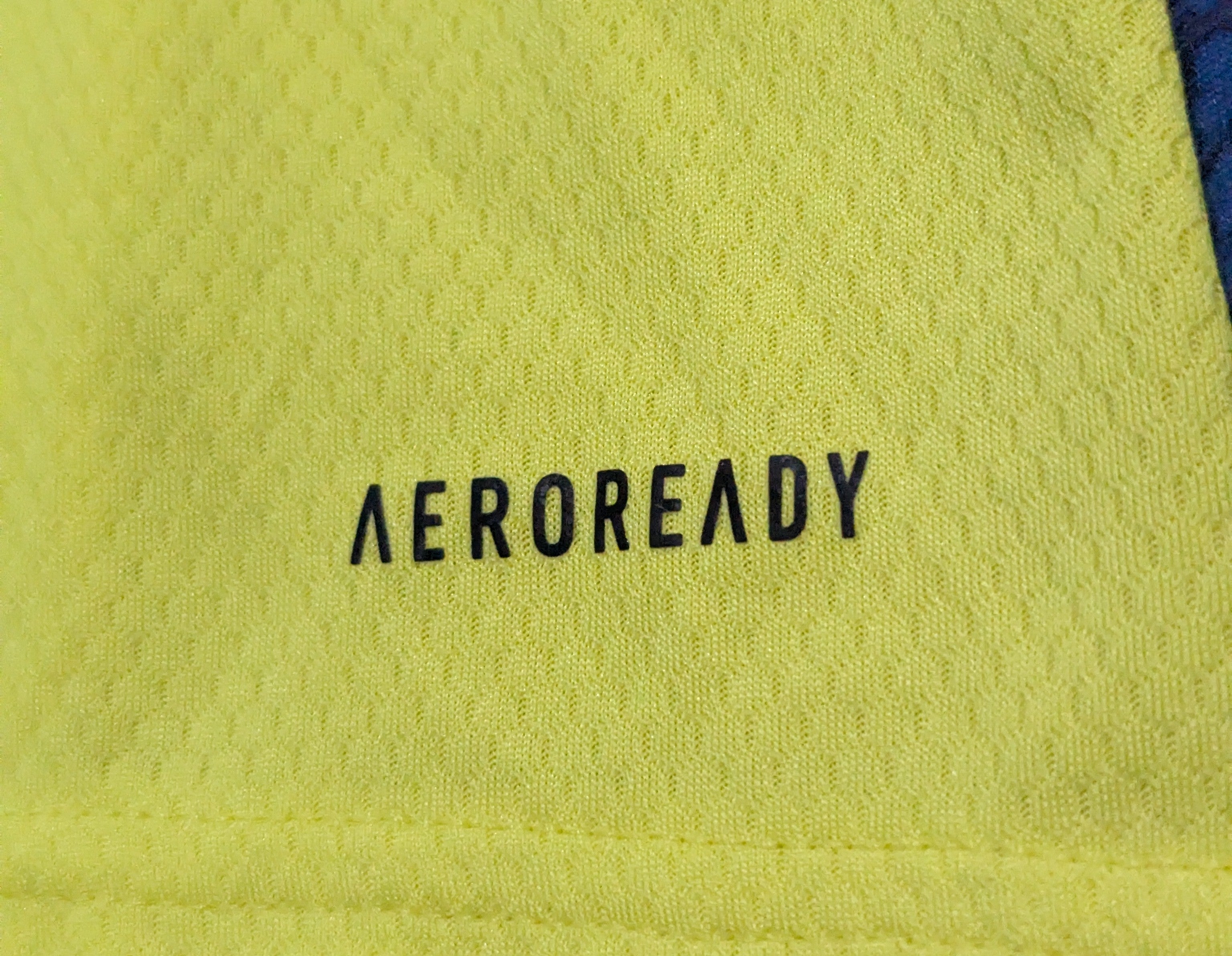 2020-21 Manchester United GK Shirt - De Gea 1