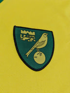 2013-14 Norwich City Home Shirt - Hoolahan 14