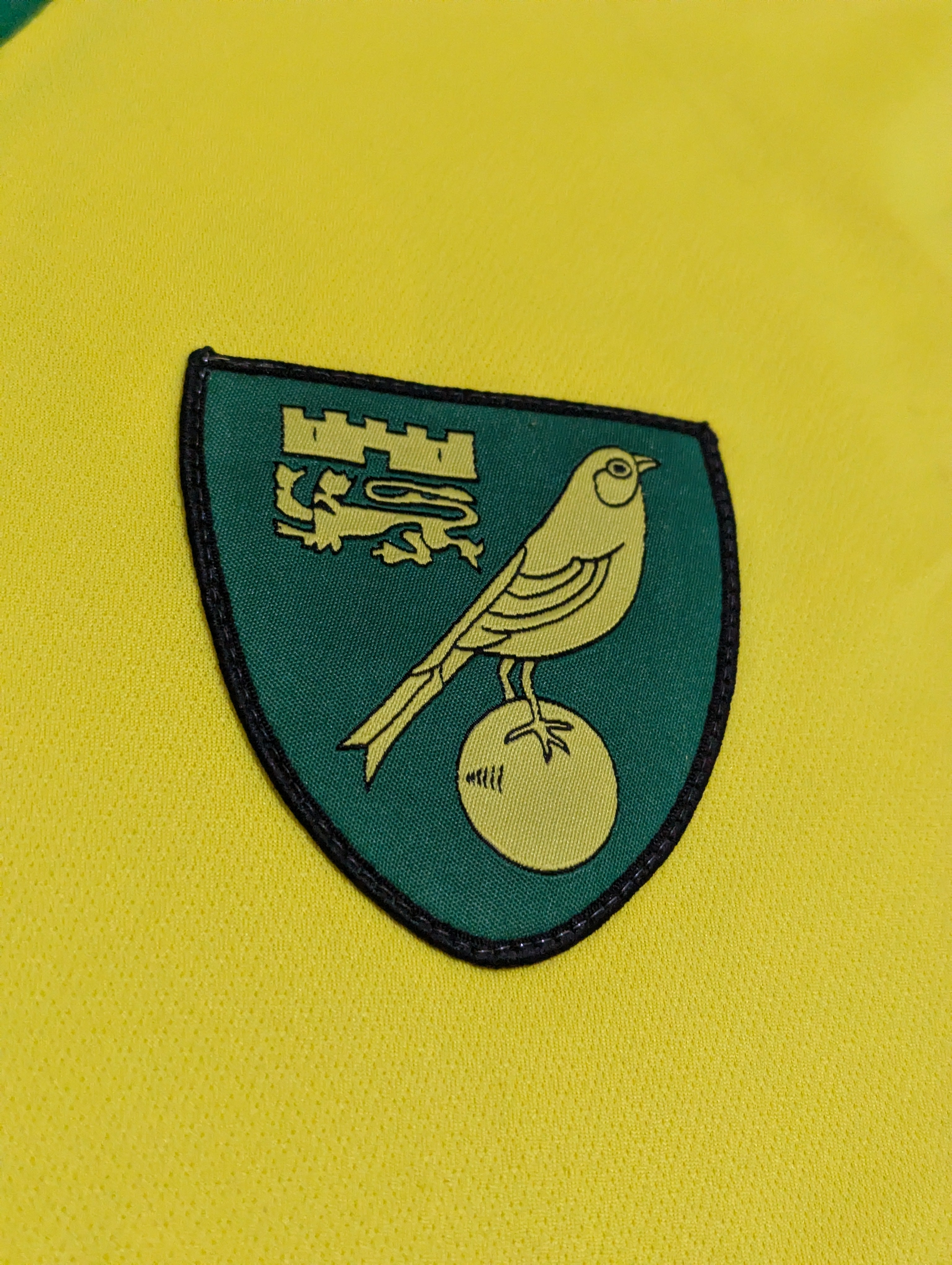 2013-14 Norwich City Home Shirt - Hoolahan 14